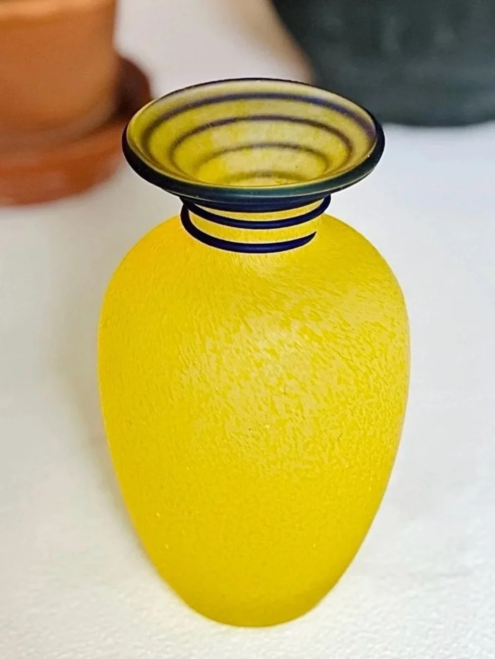 Yellow Frosted Glass Vase with Black Rim - Home Accents